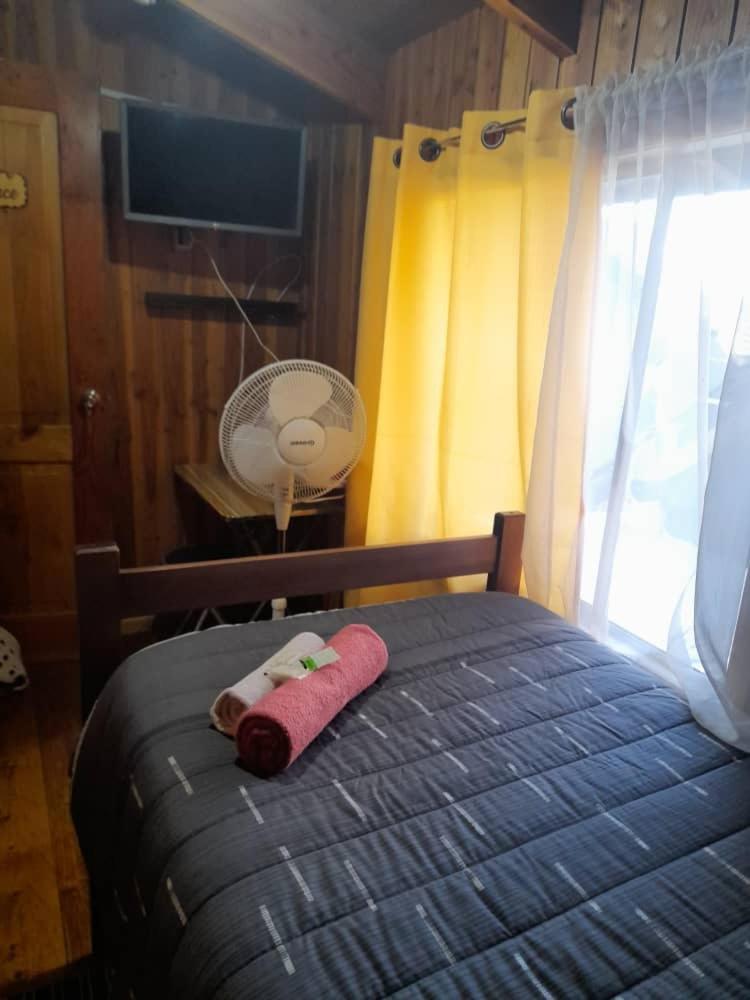 Hostal Newen Вильяррика Экстерьер фото